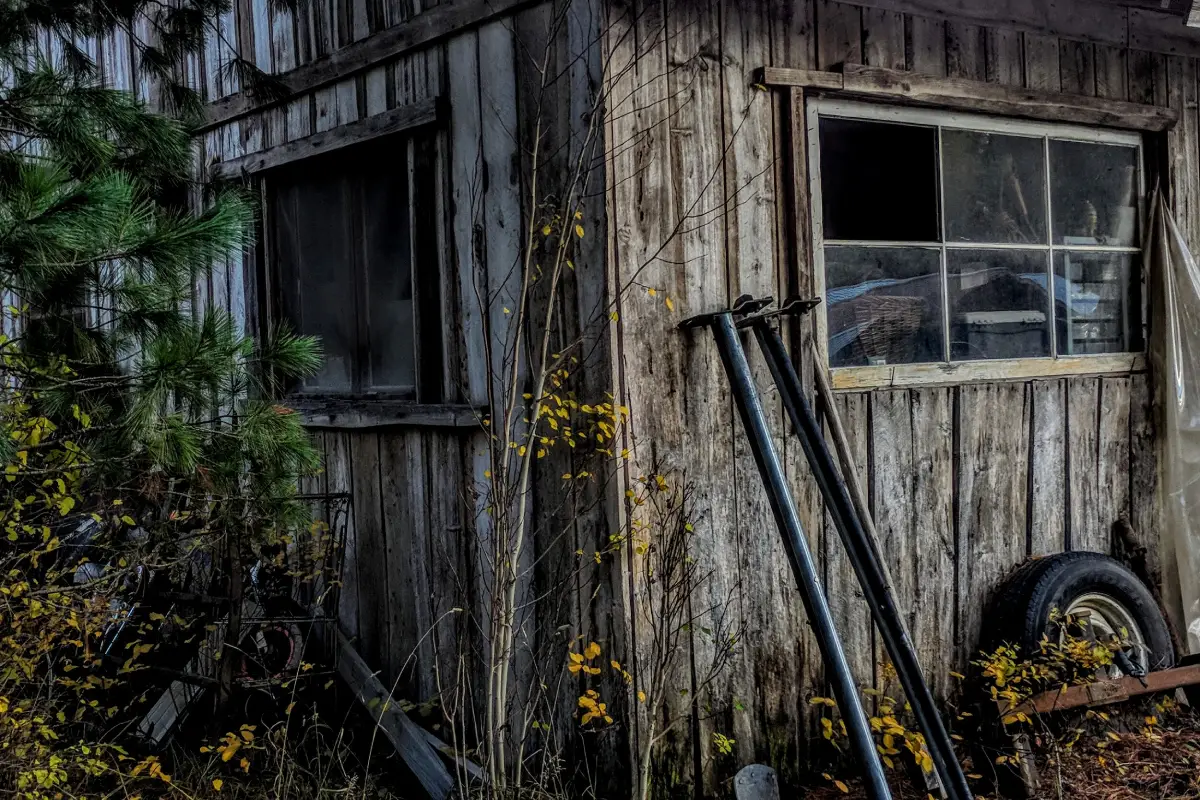Dismantle Wooden Garden Shed in Ipswich | Garden Clearance Services