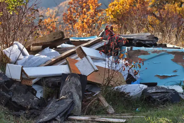 Shed and Structure Removal